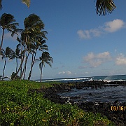 Picture 055